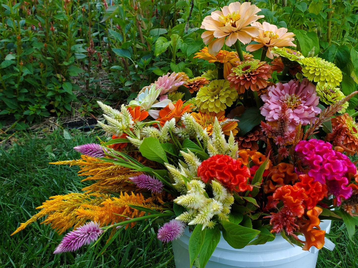 Growers Choice buckets